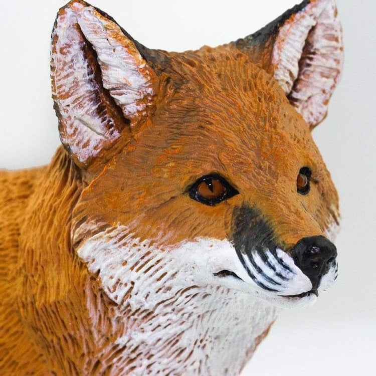 Red Fox