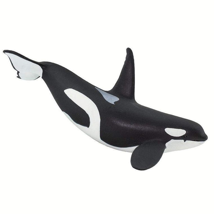 Orca Toy