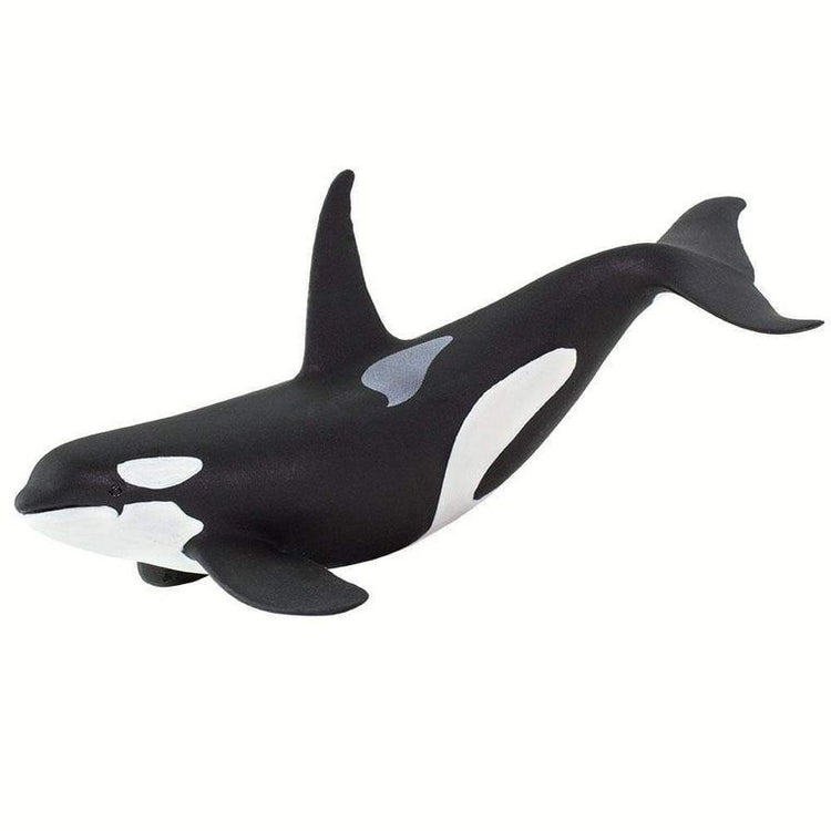 Orca Toy