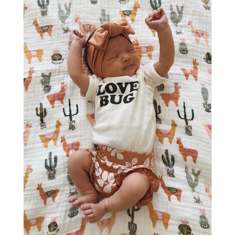 Love Bug - Short Sleeve Organic Cotton Bodysuit 12-18 Months