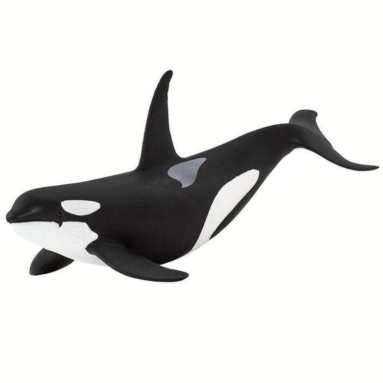 Orca Toy